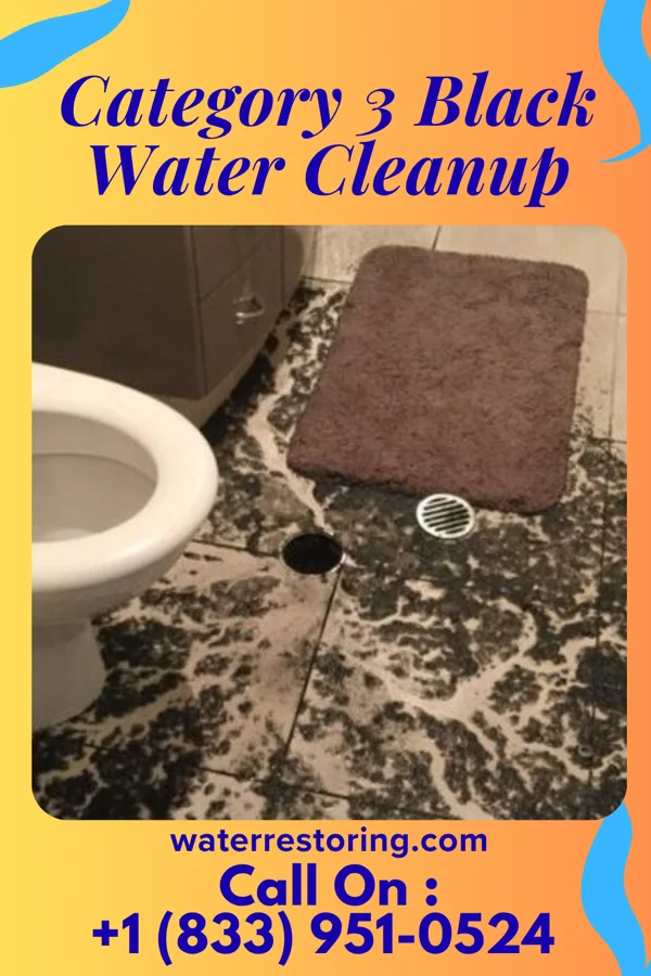 Category 3 Black Water Cleanup in Erma, NJ
