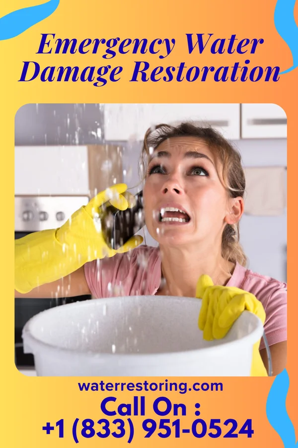 Emergency Water Damage Restoration in Erma, NJ