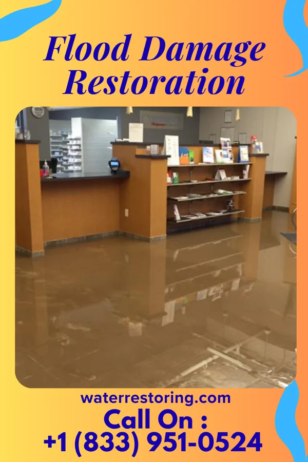 Flood Damage Restoration in Erma, NJ