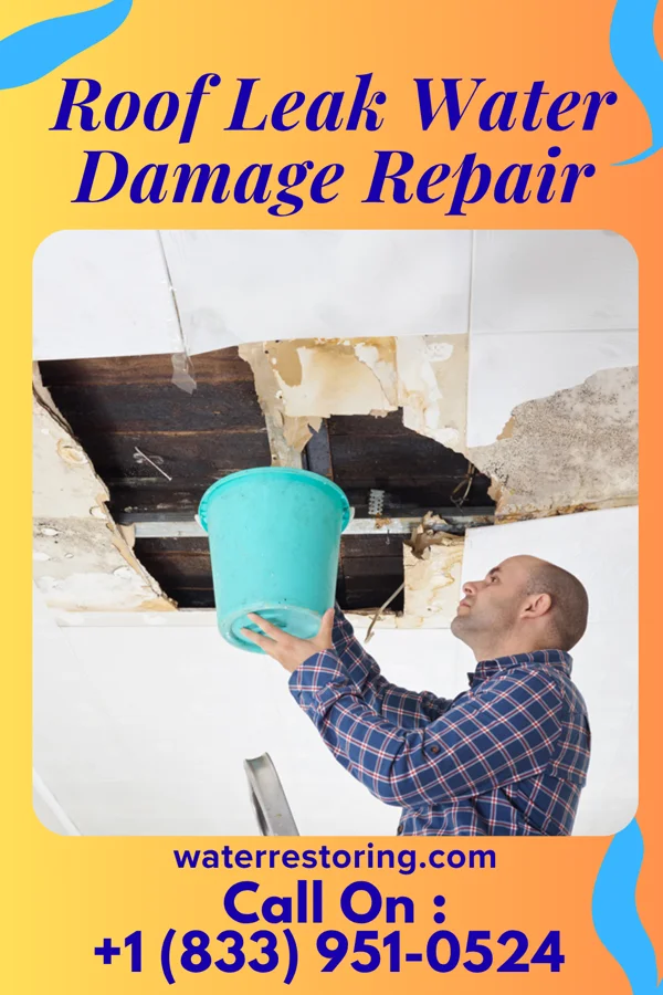 Roof Leak Water Damage Repair in Erma, NJ