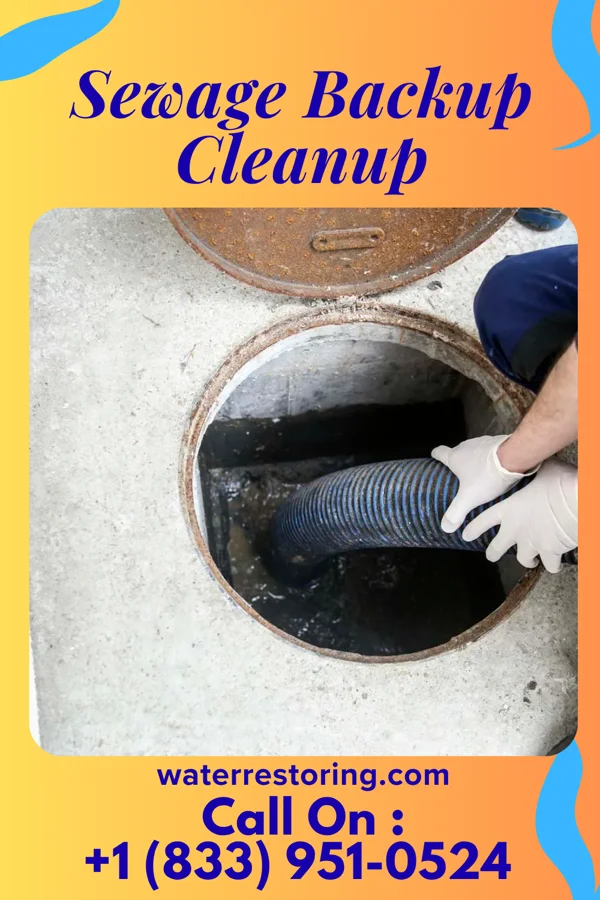 Sewage Backup Cleanup in Erma, NJ
