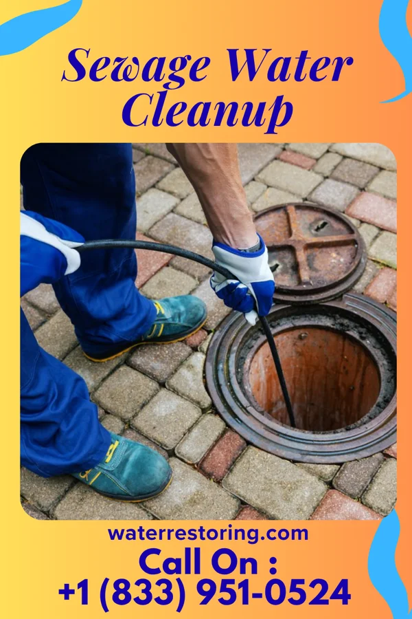 Sewage Water Cleanup in Erma, NJ